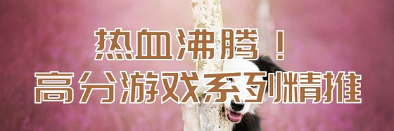 热血沸腾！高分游戏系列精推