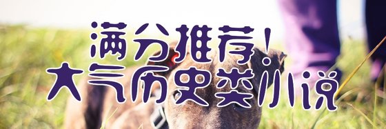 满分推荐！大气历史类小说